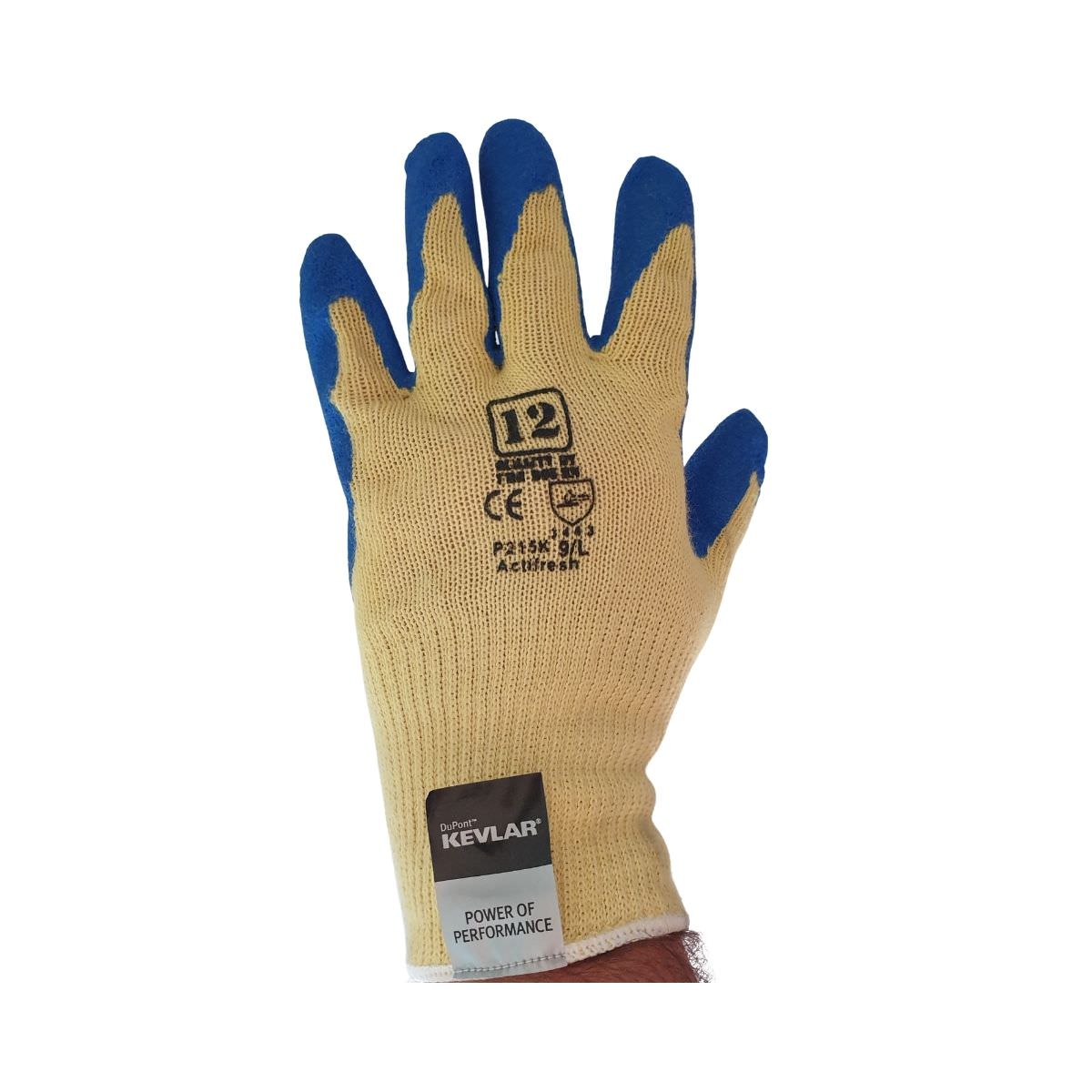 Frontier Splendor Plus Glove P215K - Size L (Pack of 12)